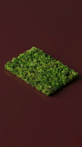 Natural Flat Moss