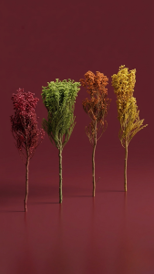 Preserved Coral Flowers