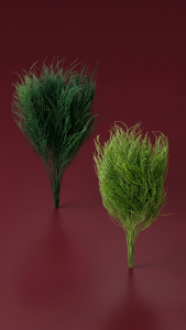 Preserved Coral Grass