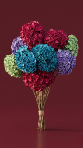 Preserved Double-Petal Hydrangea Headsize
