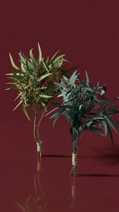 Preserved Eucalyptus Millet Branches
