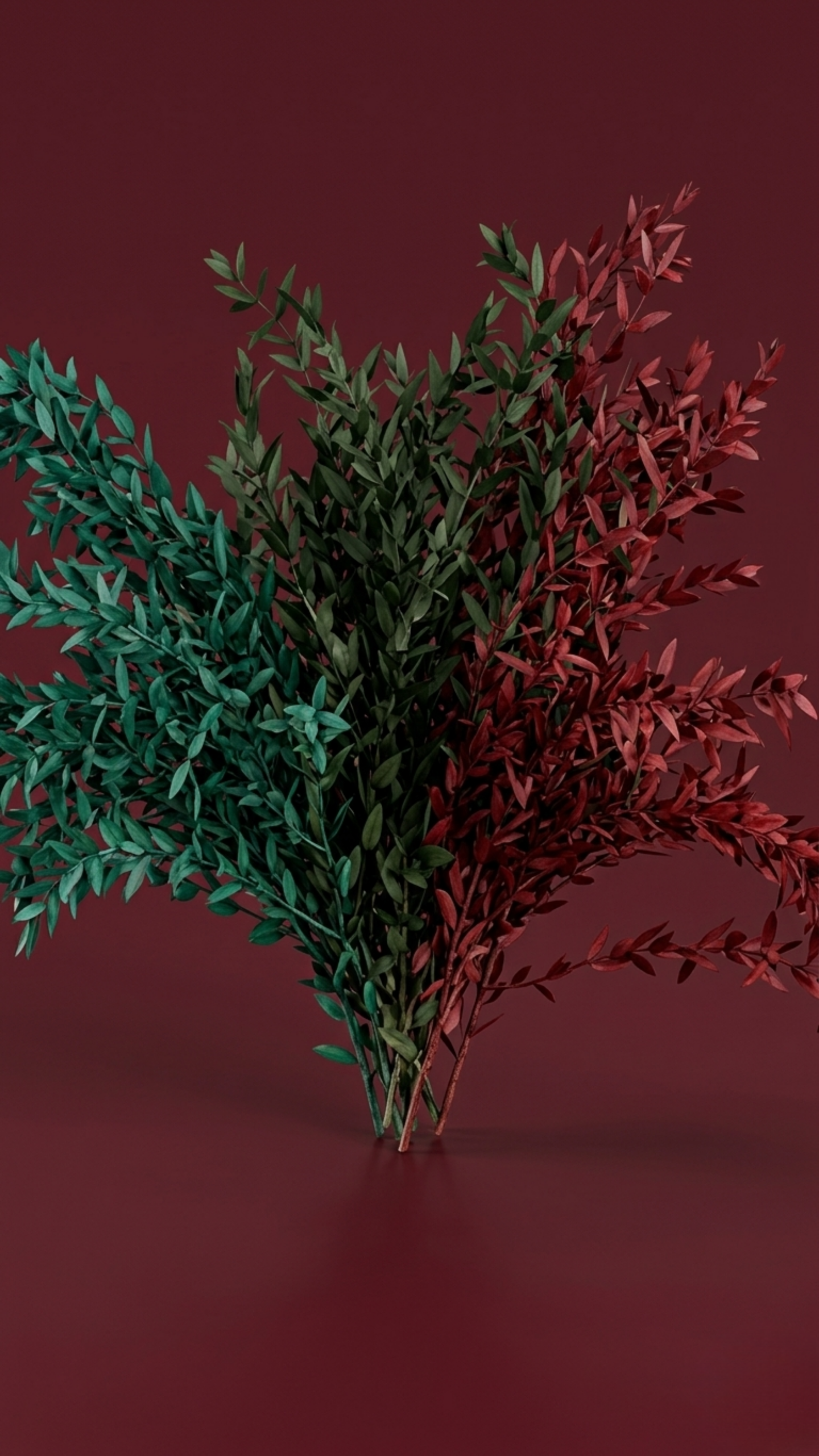 Preserved eucalyptus parvifolia bundles in green and red tones for indoor decorative arrangements