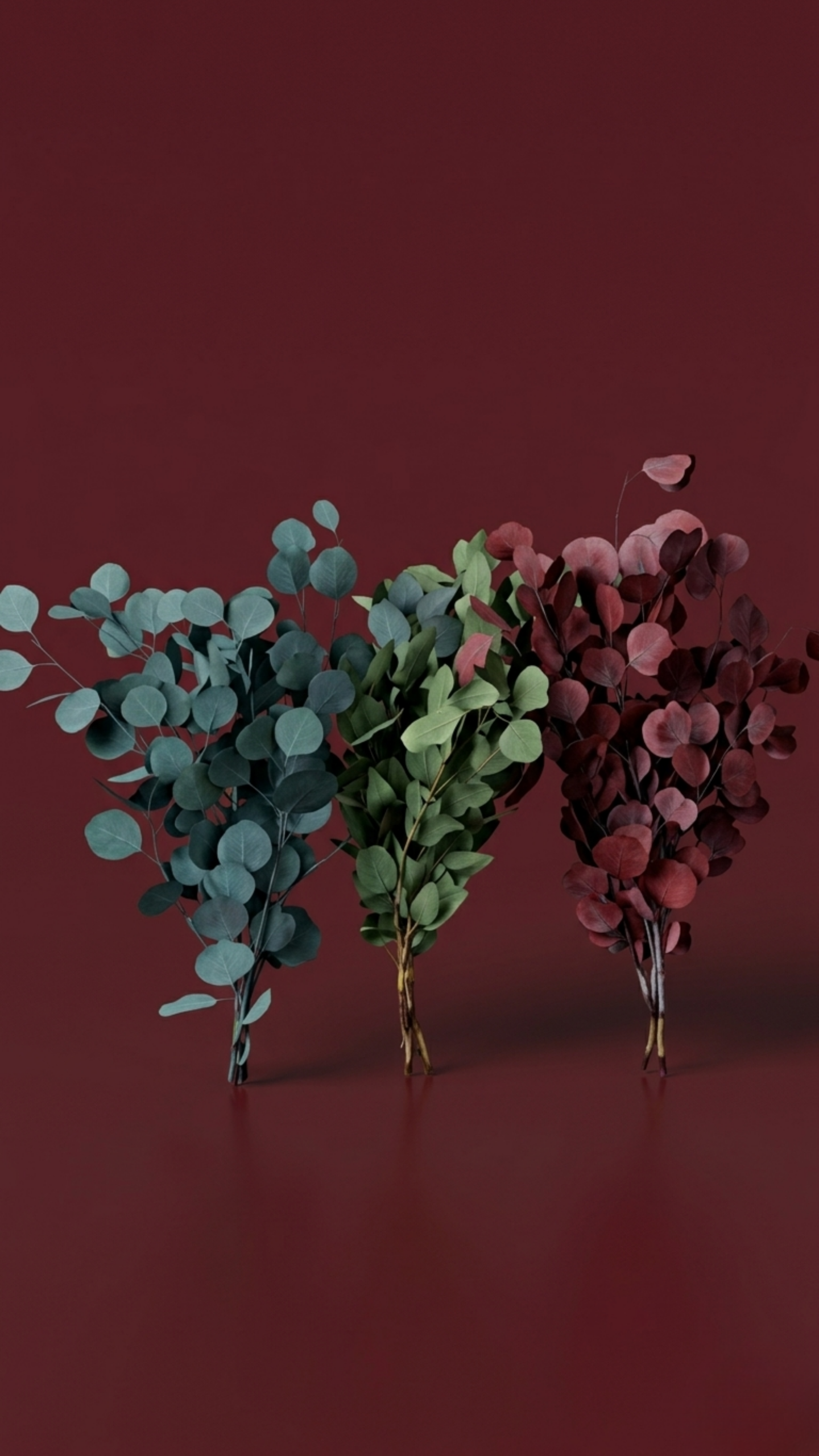 Preserved eucalyptus populus bundles in varied tones for stylish indoor decorative arrangements