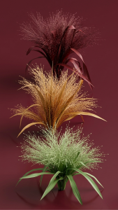 Preserved Fountain Grass
