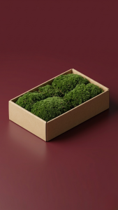 Preserved Hair Moss