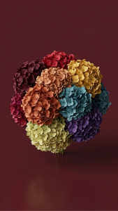 Preserved Large Petal Hydrangea