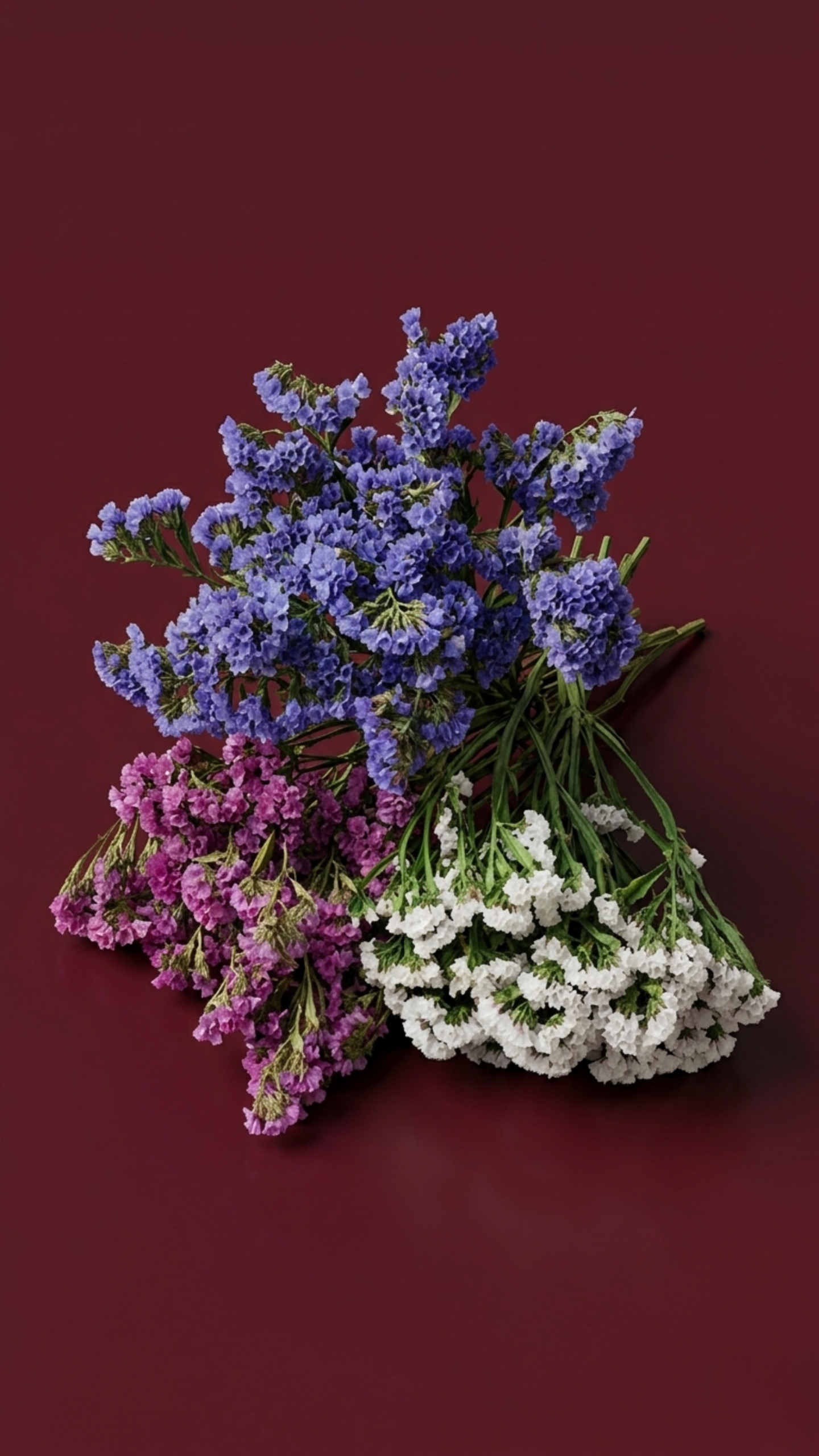 Preserved limonium sinuatum (statice) flowers in blue, purple, and white tones arranged in a natural decorative bouquet for long-lasting floral designs