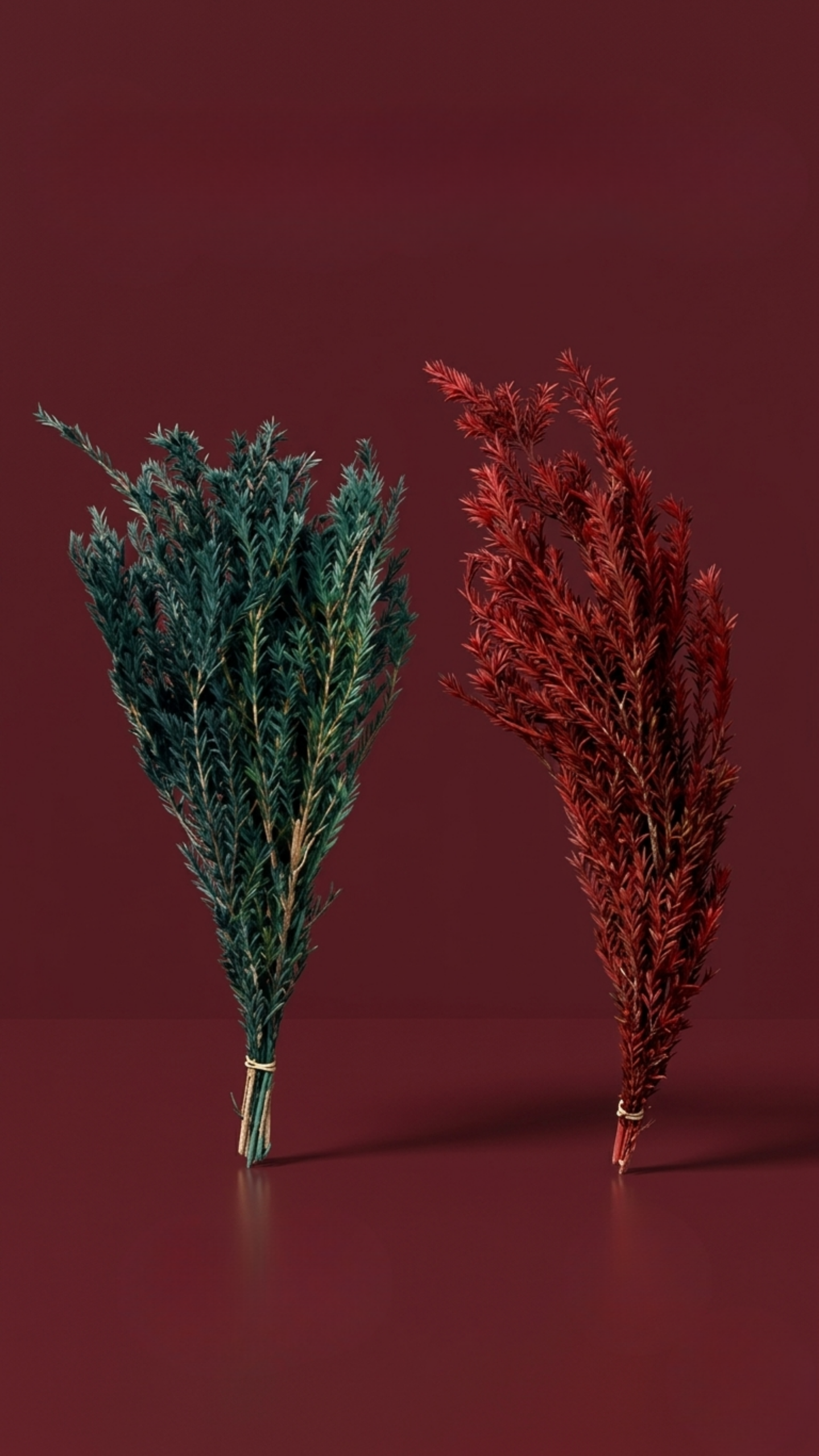 Preserved melaleuca bracteata bundles in green and red tones for decorative indoor arrangements