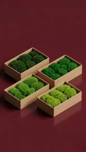 Preserved Mood Moss