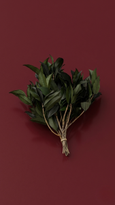 Preserved Osmanthus